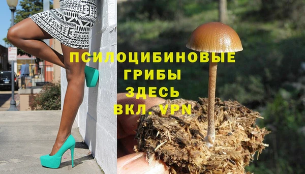 молекула духа Арсеньев