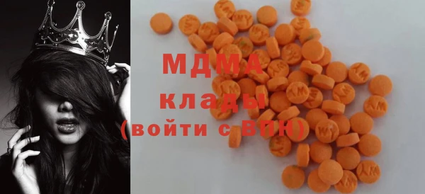молекула духа Арсеньев