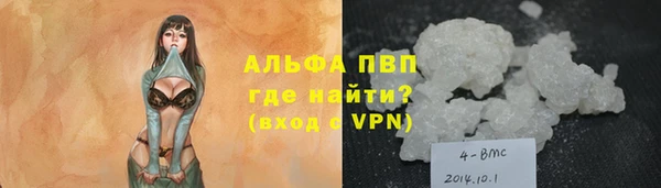 молекула духа Арсеньев