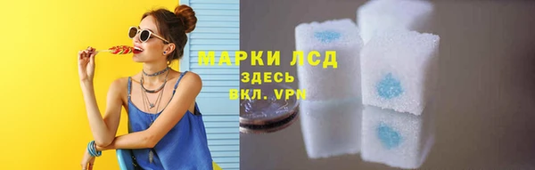 гидра Пестово